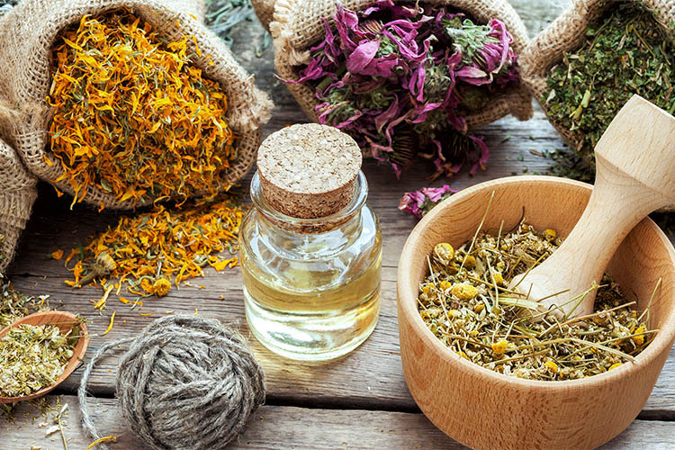 Praxis Phytotherapie